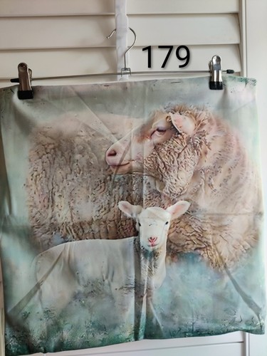 Ewe lamb pastel - ewe, colours