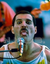 Freddie Mercury "Queen" 10 x 8