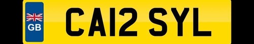Private registration number - private,