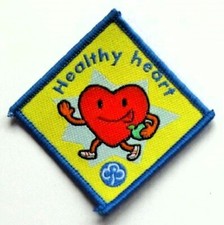 Brownie Guide Interest Badge -