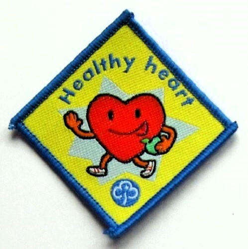 Brownie guide interest badge - guide,