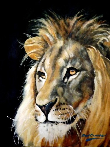 Stunning don cameron original - stunning,