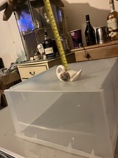 Grafton China Crested China