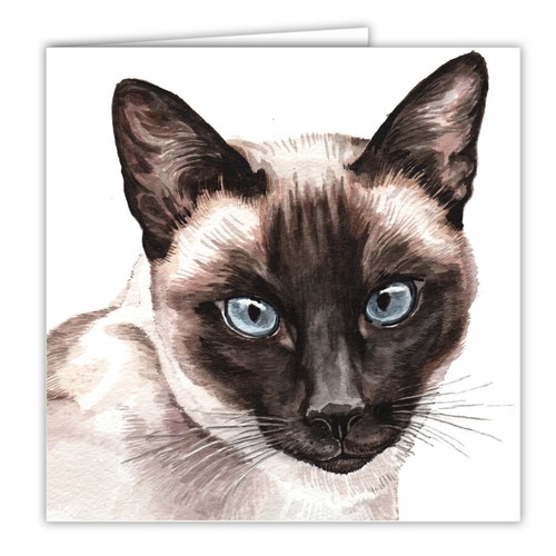 Siamese cat greetings - cat,