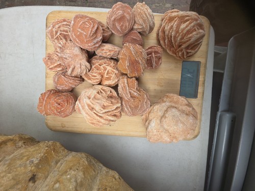 Desert rose selenite gypsum - rose,