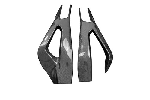 Carbon swingarm cover - swingarm, bmw
