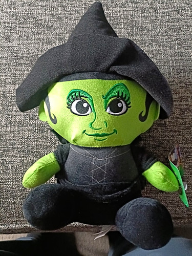 Wizard wicked witch - wizard, of