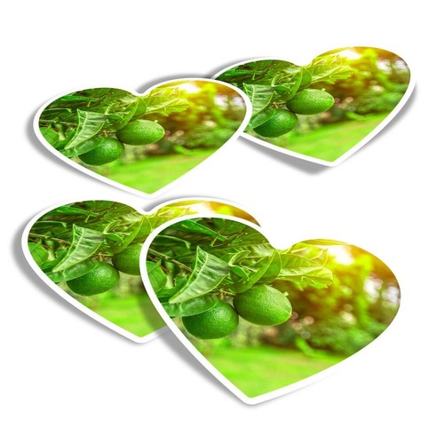 Heart stickers citrus - heart,
