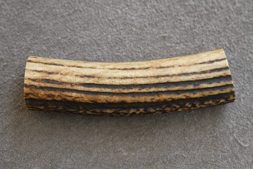 Real red deer antler piece - deer,