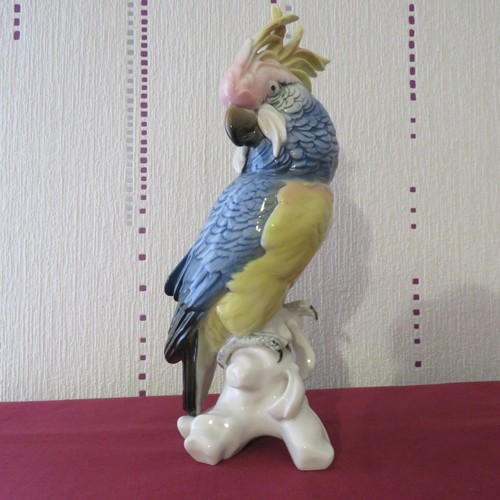 Large saxon porcelain - large, cockatoo