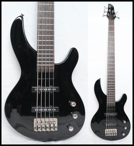 Aria pro igb std - ii, igb-std/5b