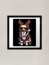 Australian Shepherd Dog