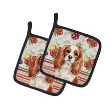 Blenheim English Toy Spaniel