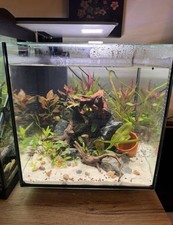 Superfish QubiQ LED Aquarium