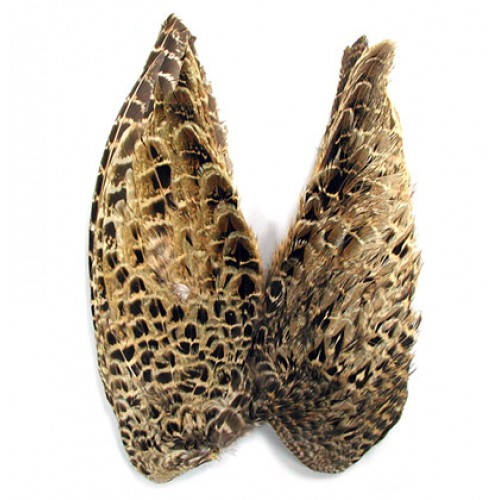 Hen pheasant wings - hen, fly