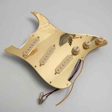 Guitar Prewired Loaded