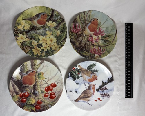 Set robins all year - robins, round