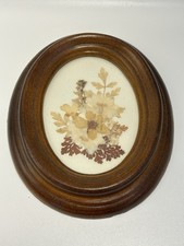 Vintage dried pressed flowers picture small oval frame cottagecore gallery cute