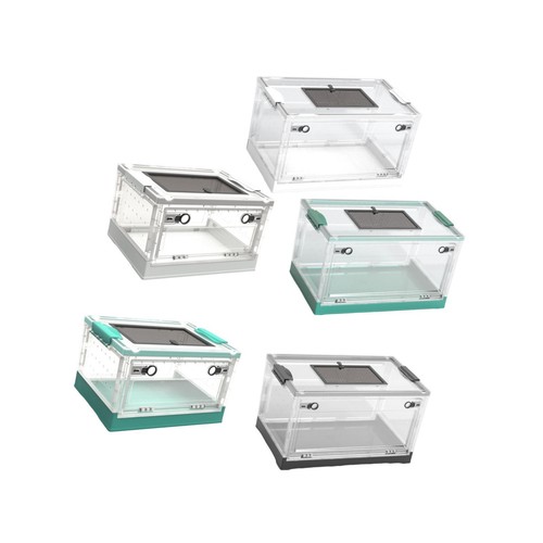Transparent foldable reptile - foldable,