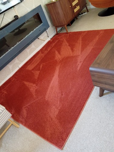 Dunelm rug colour ginger used - dunelm,