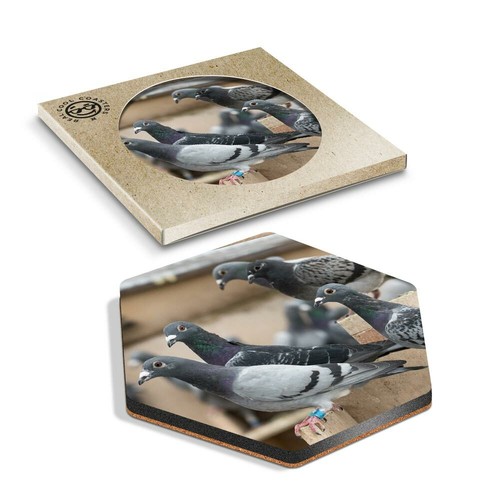 Hexagon coaster pigeon - coaster,