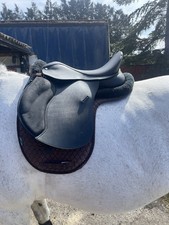 Wintec 50 GP Saddle 17”