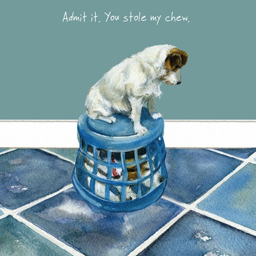 Jack russell greeting card - jack,