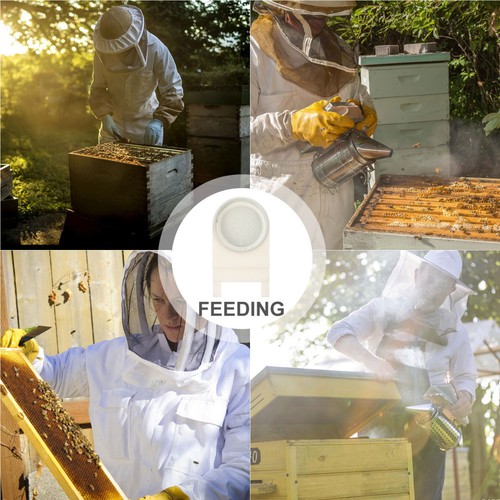 White reusable beehive feeder - reusable,