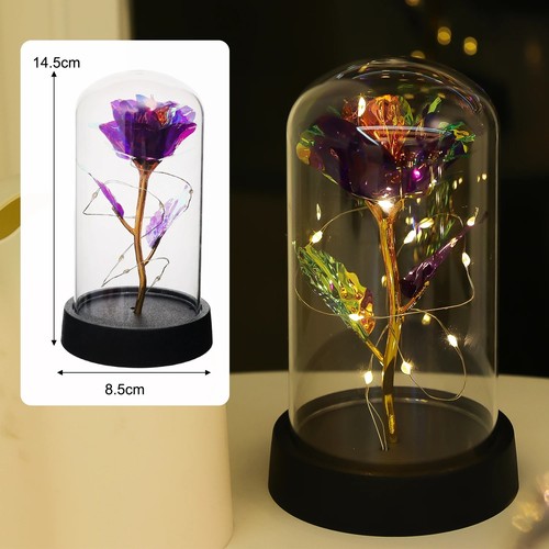 Eternal rose glass led - in,