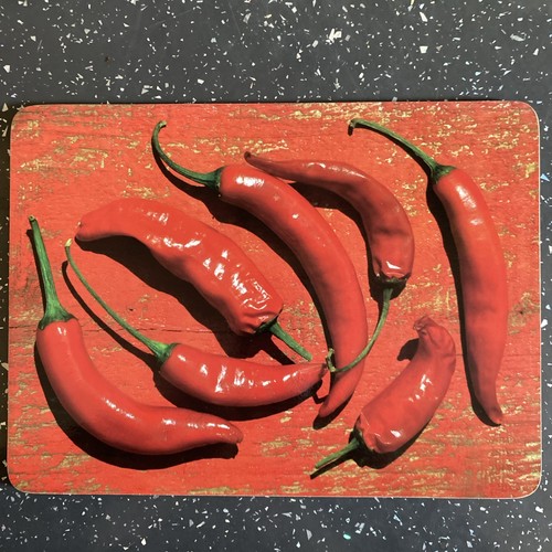 Red chilli place table mats - place,