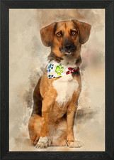 Dog cross breed with a bea