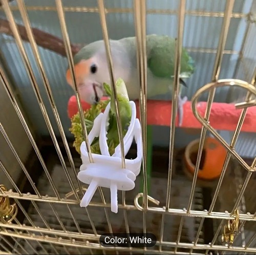 Bird cage cuttlefish treat - bird,
