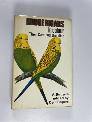 Budgerigars colour their - in,