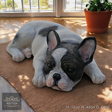 French Bulldog Frenchie