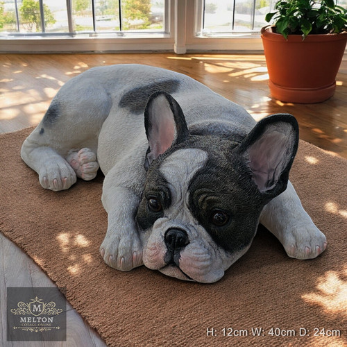 French bulldog frenchie - french,