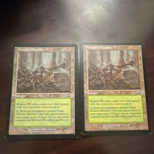 Magic: The Gathering Hickory