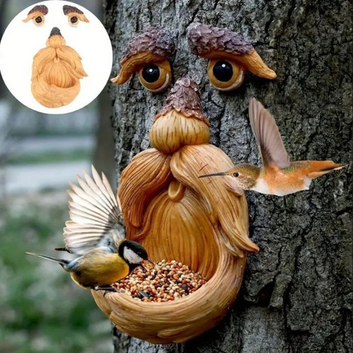 Bird feeder unique - bird,