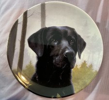 WEDGWOOD BONE CHINA COLLECTORS