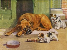 BOXER AND FOX TERRIER PUPPIES CHARMING DOG GREETINGS NOTE CARD