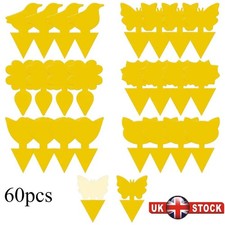 41pcs fruit fly traps - 60/41pcs,