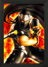 Ninja Gaiden Framed Wall Art