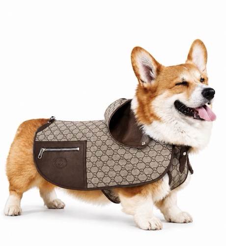 Auth gucci dog coat - auth,