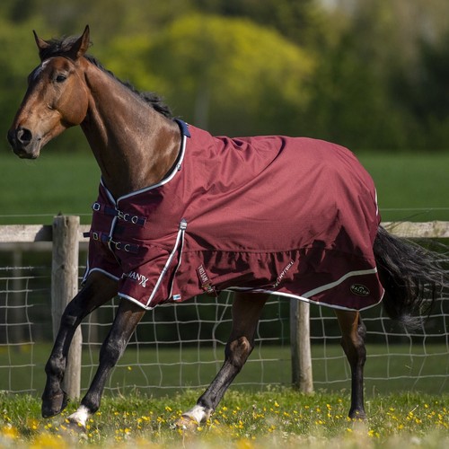 Gallop trojan xtra - trojan, duraproof