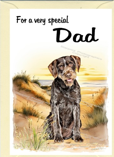 German wirehaired pointer dog - wirehaired,