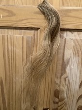 BLONDE ROAN NATURAL HORSE HAIR