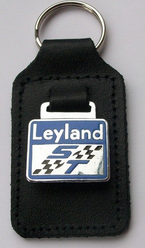 Leyland enamel and - leyland, st