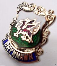 Brynmawr Town Crest Pin Badge