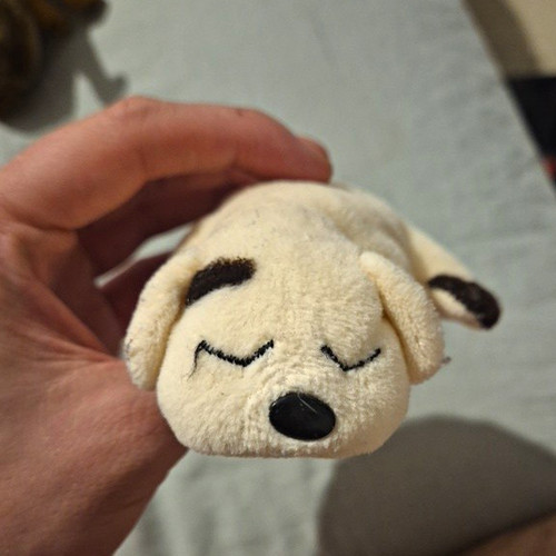 Mini plush dog soft toy - mini,