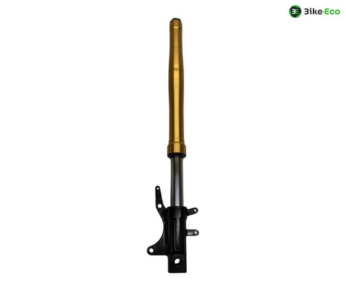 Right fork tube - fork,
