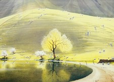 Quiet Pastures Crummock Water